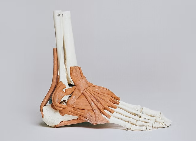 Screenshot 2025-06-24 125547